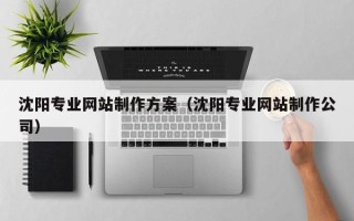 塔城沈阳专业网站制作方案（沈阳专业网站制作公司）